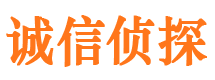 桃江侦探公司